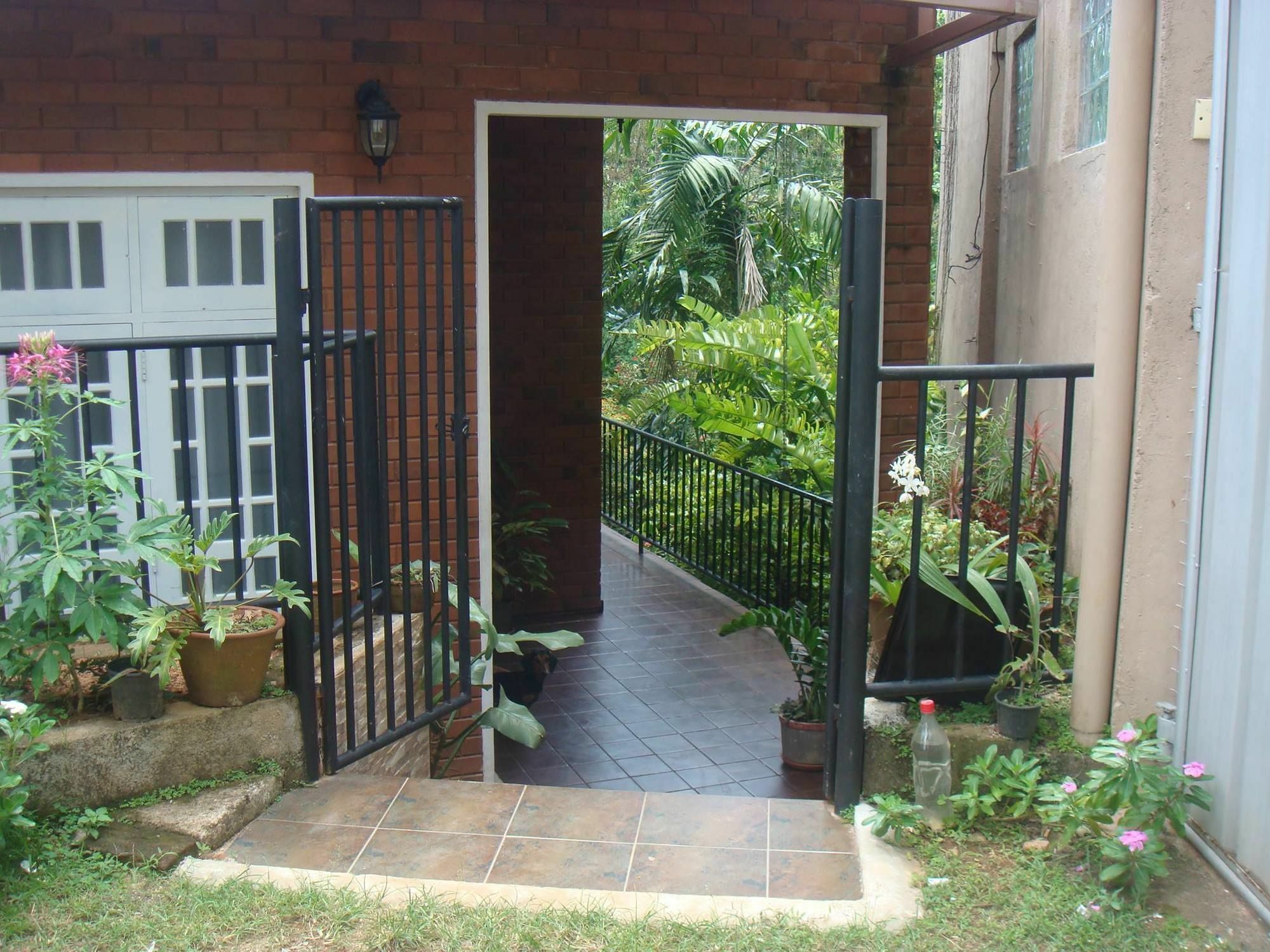 קנדי Hanthana Holiday Rooms מראה חיצוני תמונה